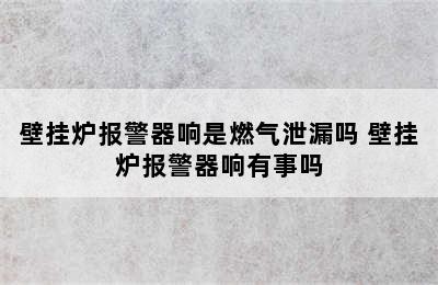 壁挂炉报警器响是燃气泄漏吗 壁挂炉报警器响有事吗